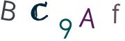 圖片的 CAPTCHA