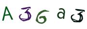 圖片的 CAPTCHA